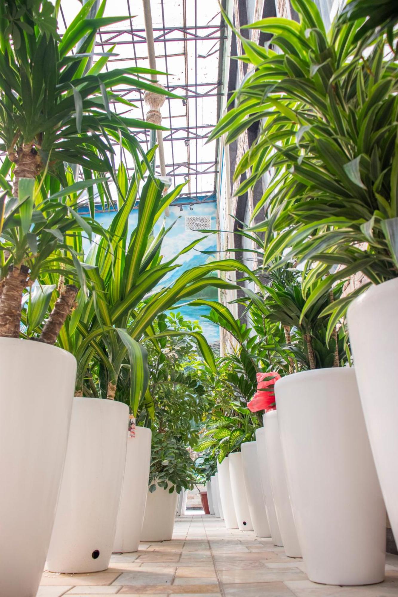 ホテル Garden Plaza ブハラ エクステリア 写真